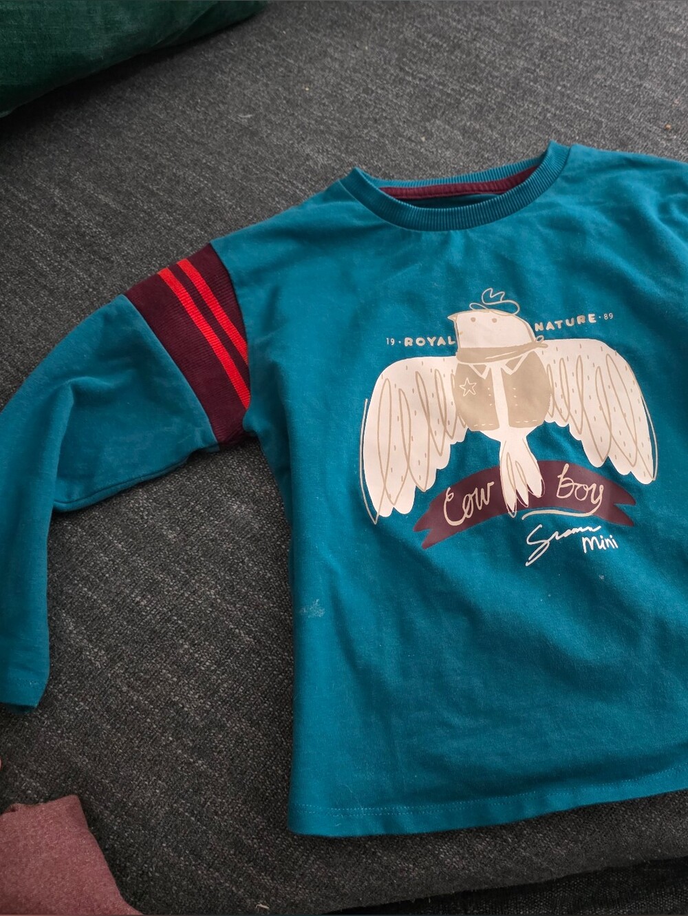 Kids Teal Long-Sleeve Tee with Bird Graphic and Maroon Sleeve Accents Sm 2-3ans
